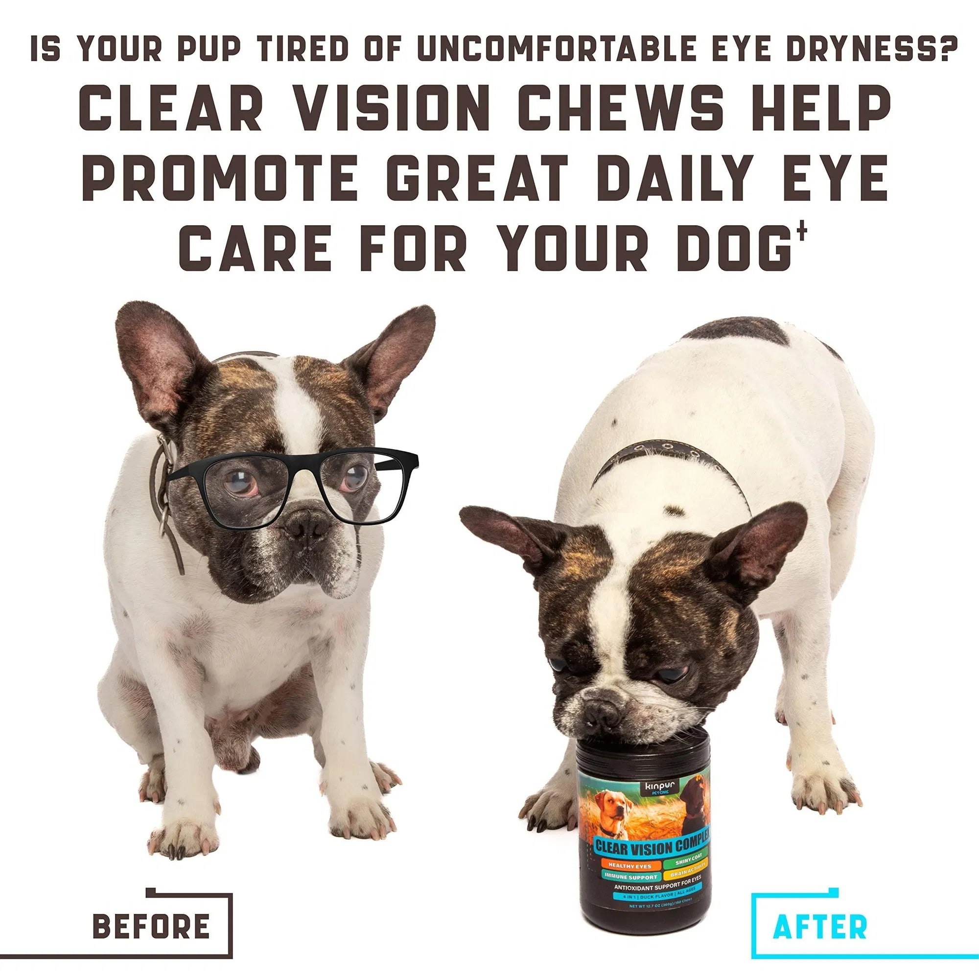 Vitamins For Dogs-Eye care