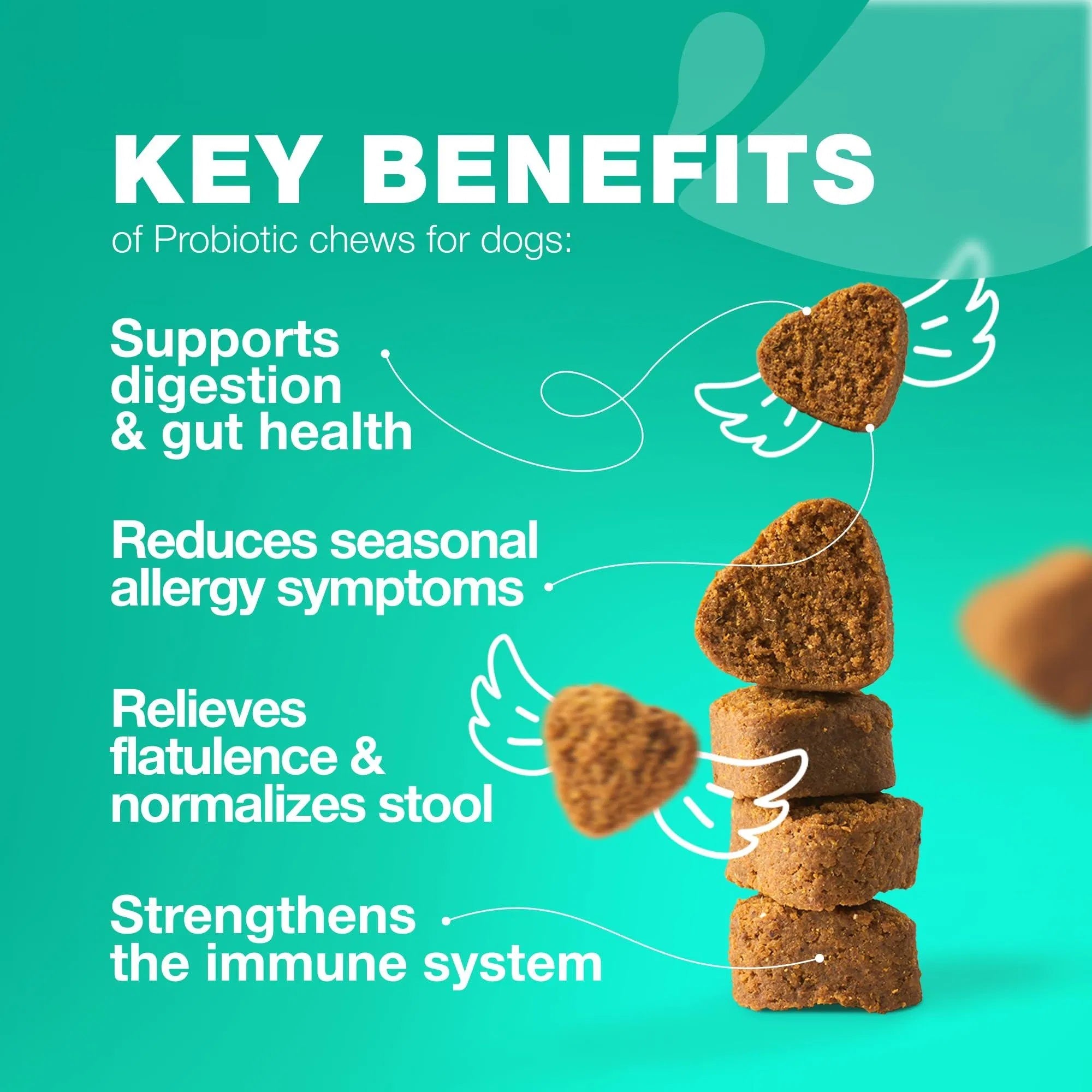All-in-One Probiotic for Dogs