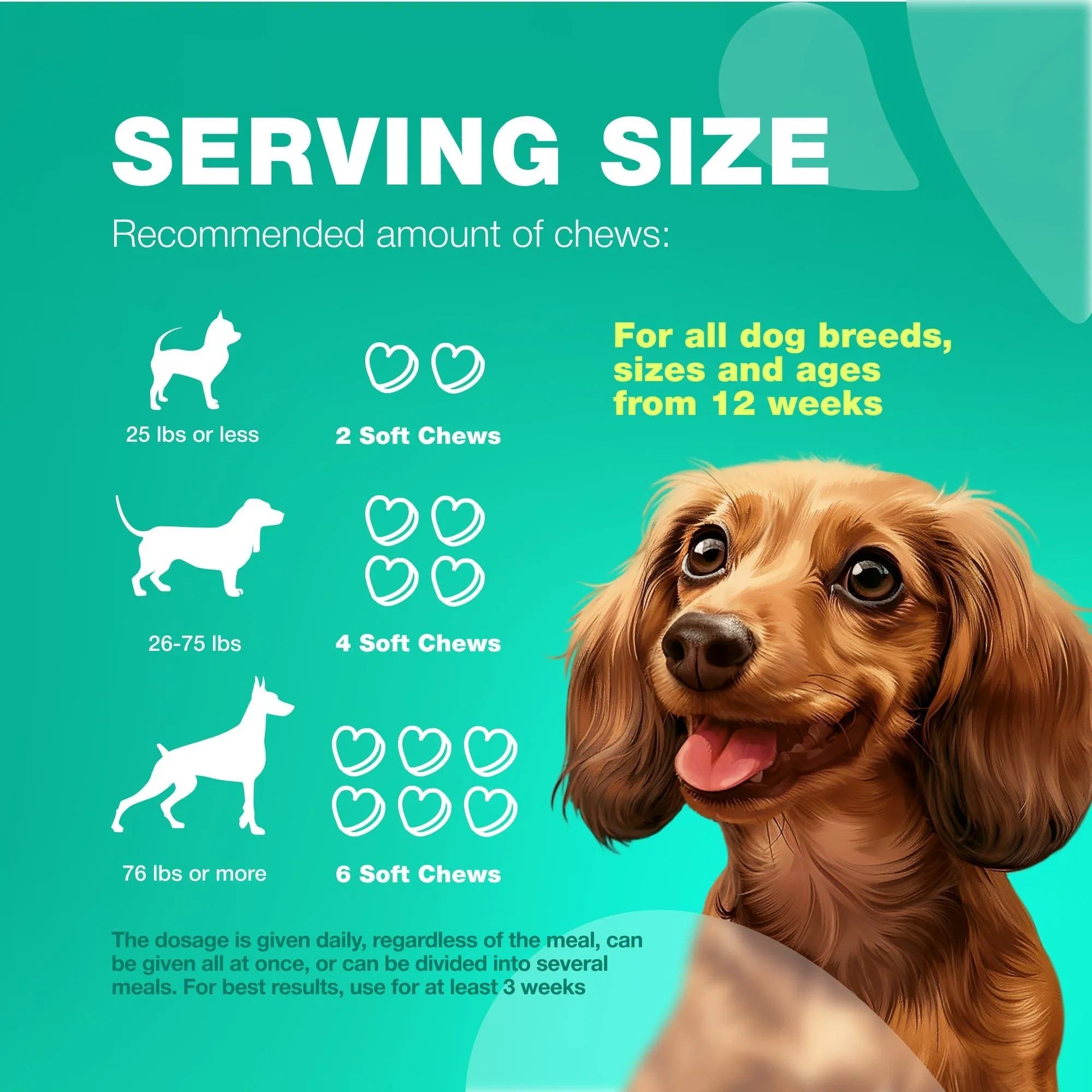 All-in-One Probiotic for Dogs