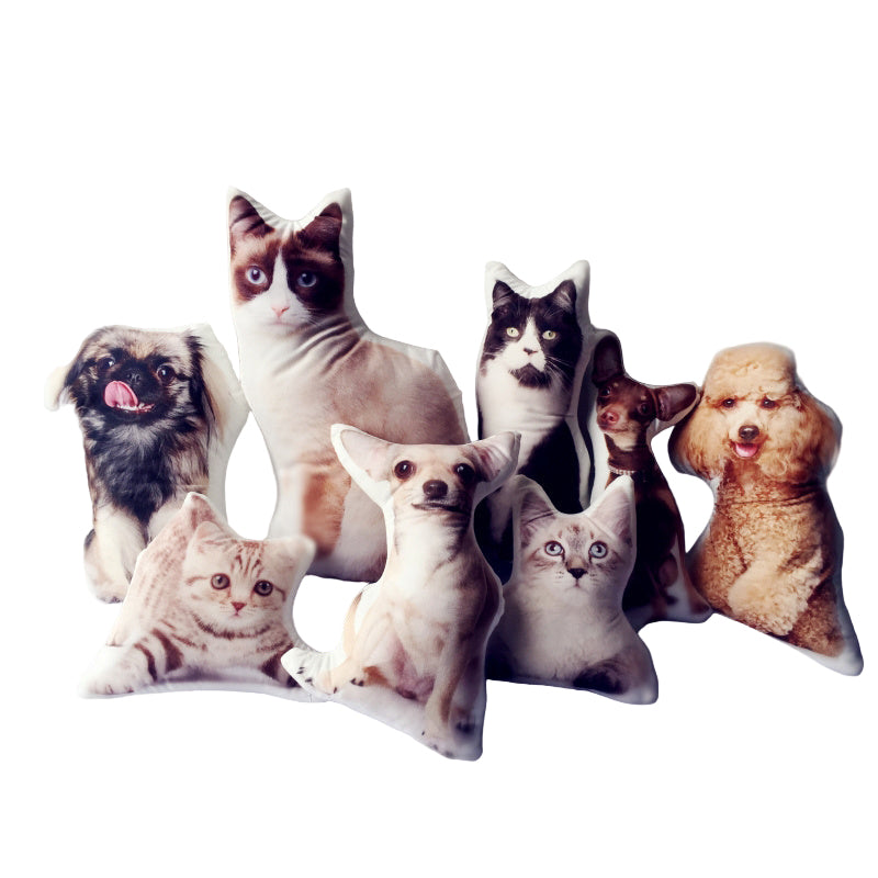 Customize Irregular Pillow Pet Pillow