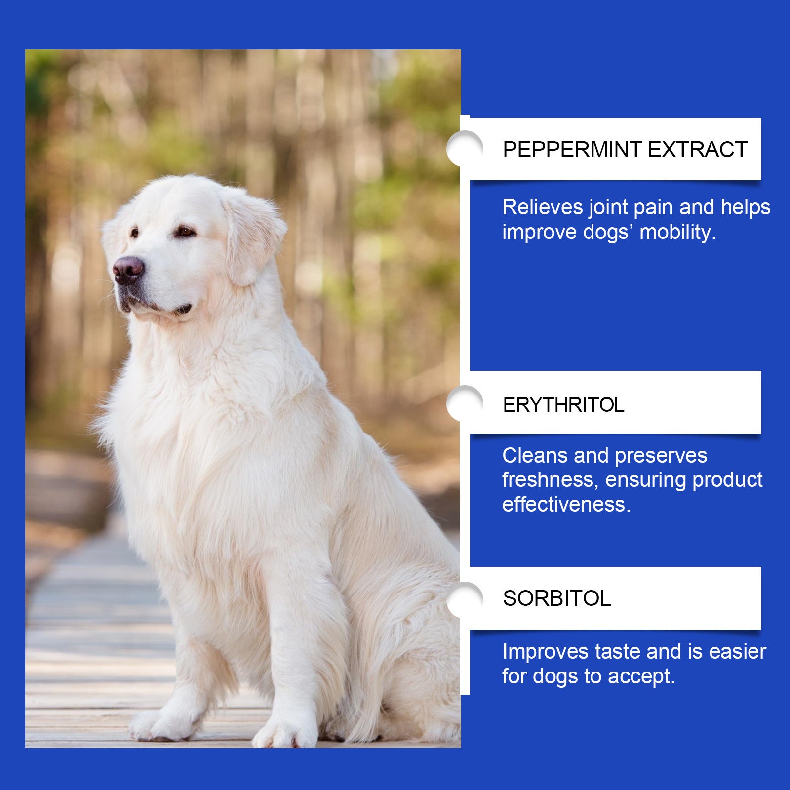 Dog Joint Health Supplement