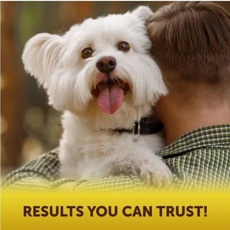 Scoot Stopper for Dogs