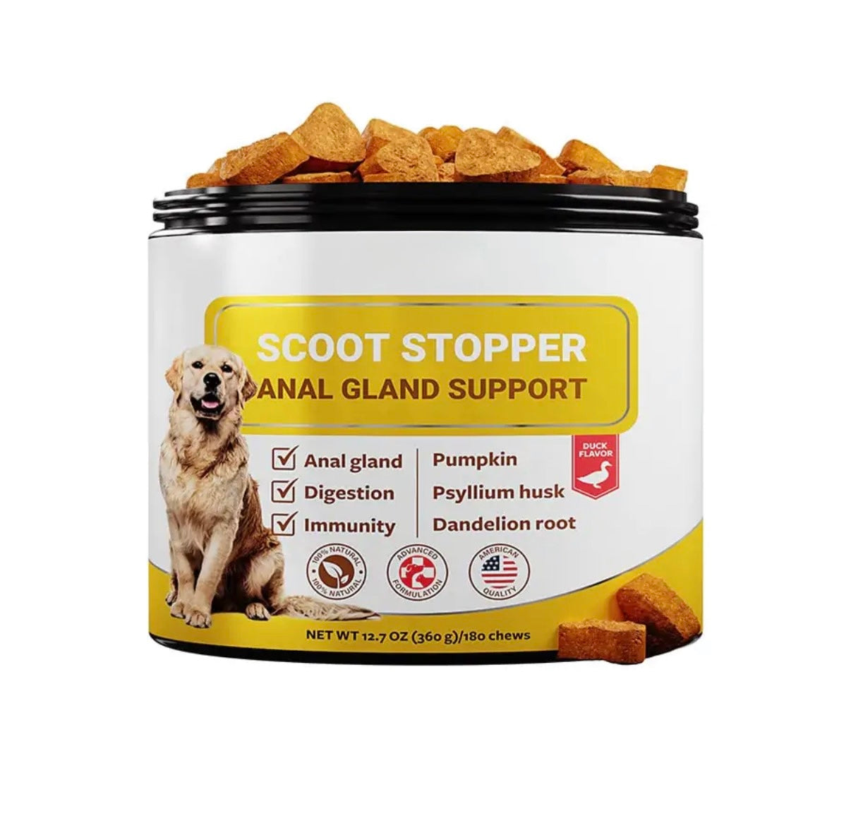 Scoot Stopper for Dogs