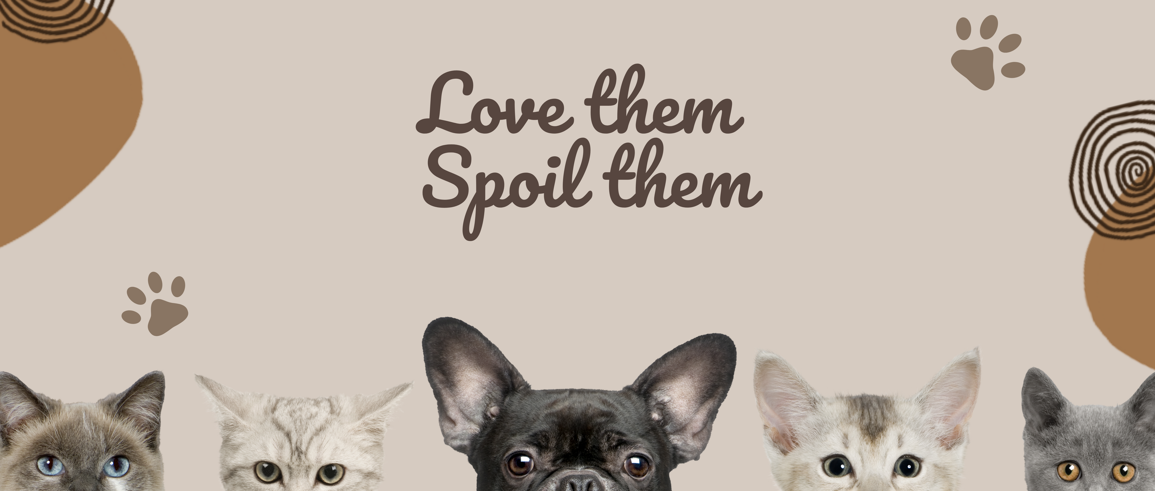 Five cats of different breeds on a beige background with paw prints and the text 'Love them, Spoil them'