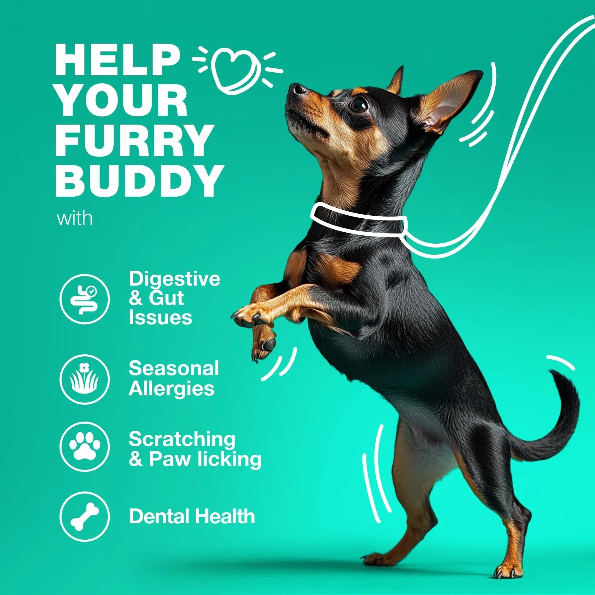 All-in-One Probiotic for Dogs