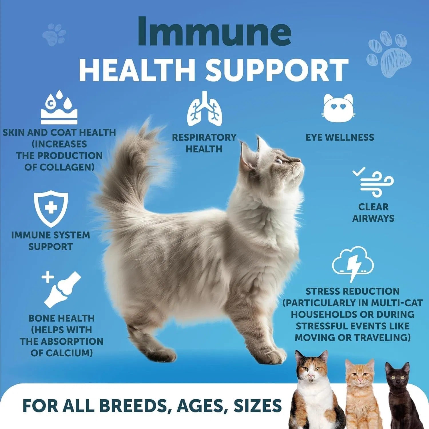 L-Lysine Powder for Cats | 900mg Immune & Eye Health Support