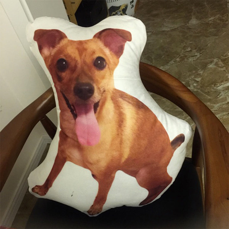 Your Unique Pet Pillow