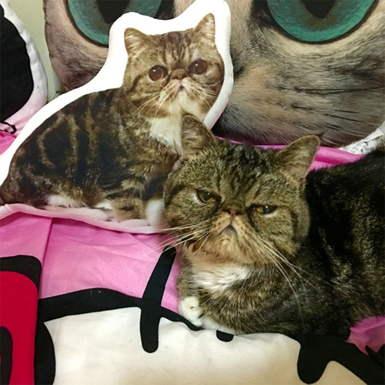 Your Unique Pet Pillow