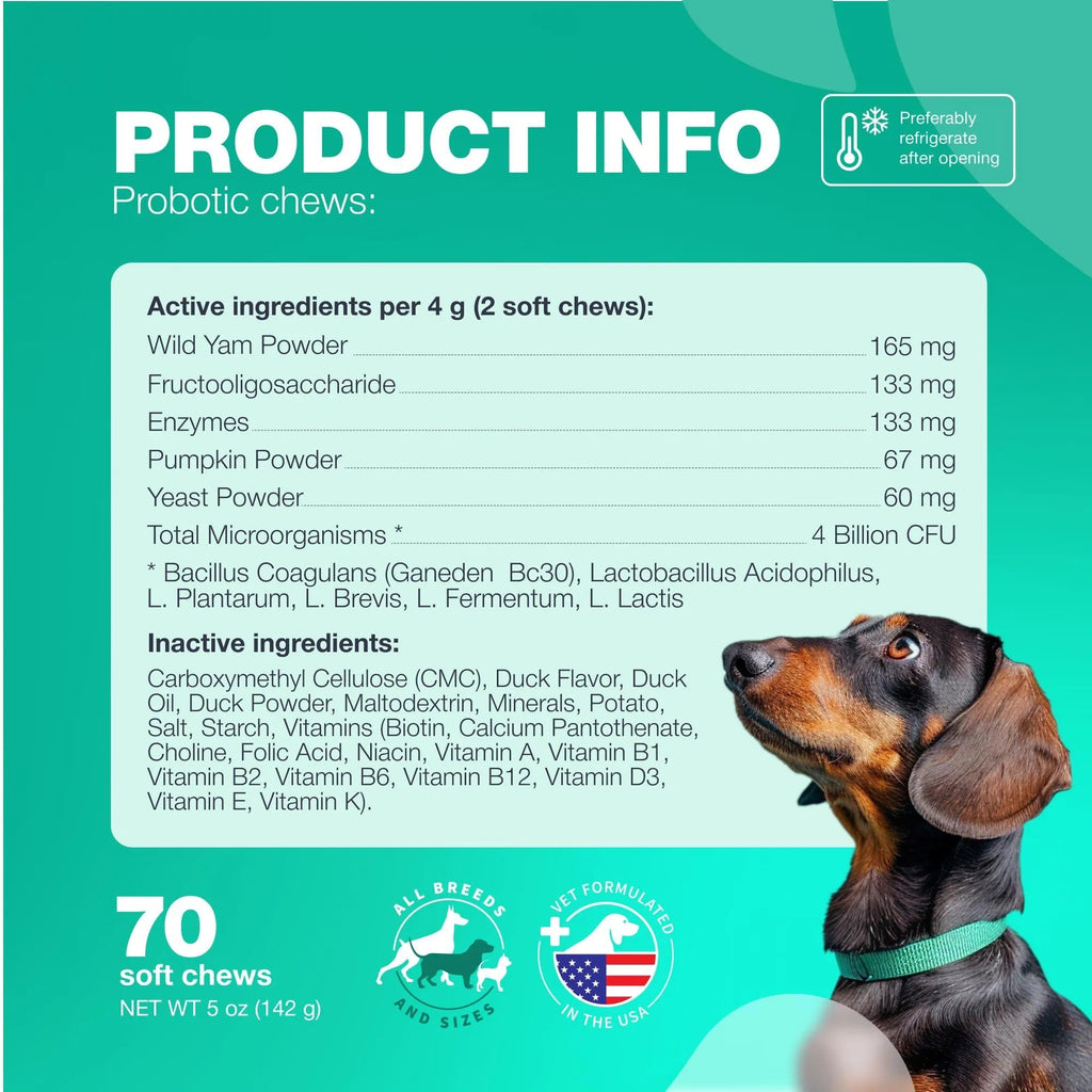 All-in-One Probiotic for Dogs